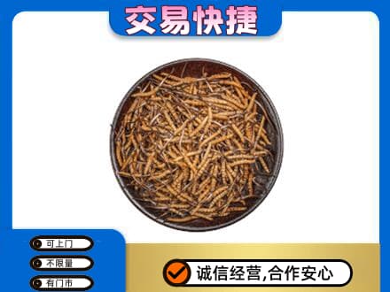 包头高价回收散虫草